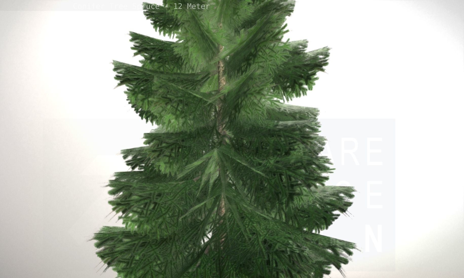 Conifer Tree Spruce - 12 Meter Low-poly 3D model_5
