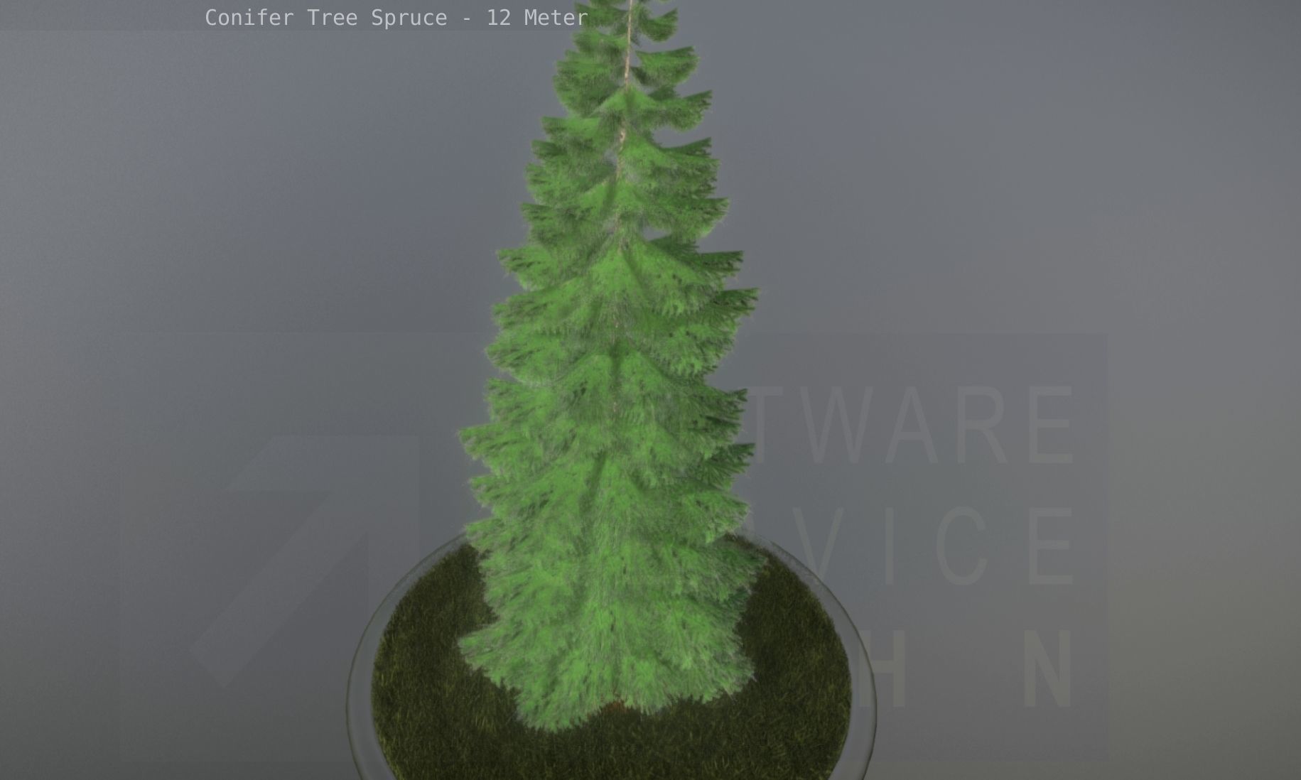 Conifer Tree Spruce - 12 Meter Low-poly 3D model_30