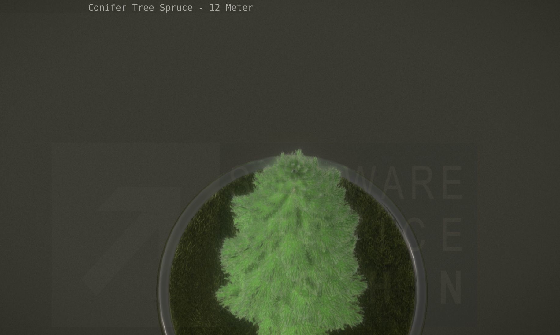 Conifer Tree Spruce - 12 Meter Low-poly 3D model_72