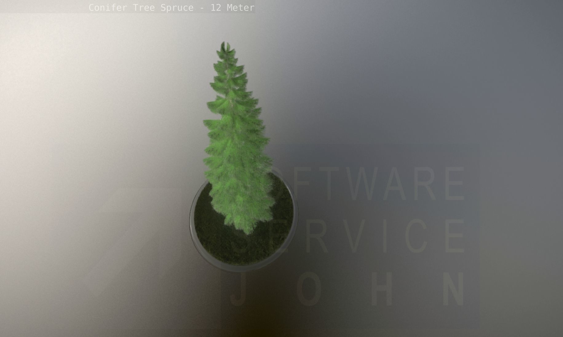 Conifer Tree Spruce - 12 Meter Low-poly 3D model_93