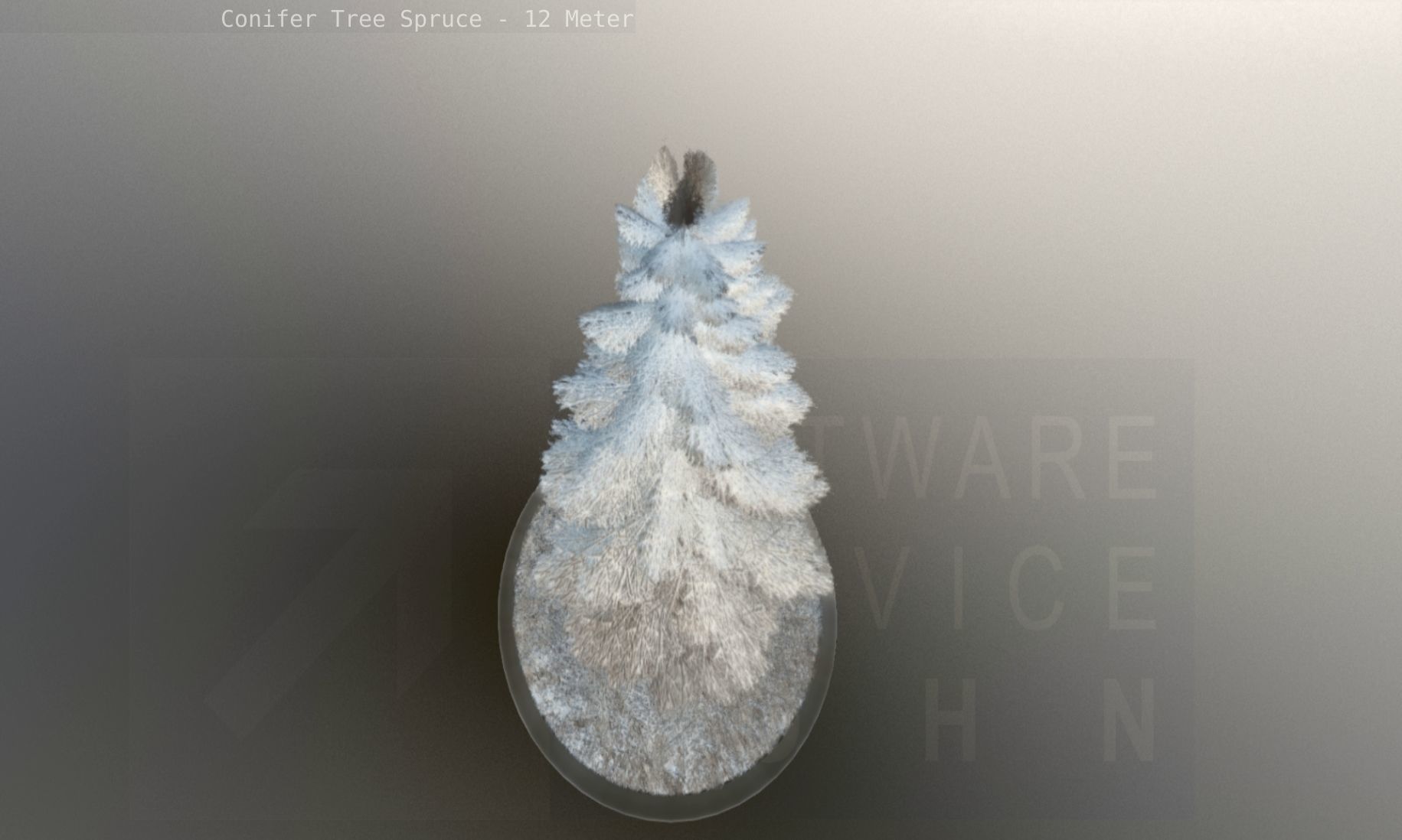 Conifer Tree Spruce - 12 Meter Low-poly 3D model_128