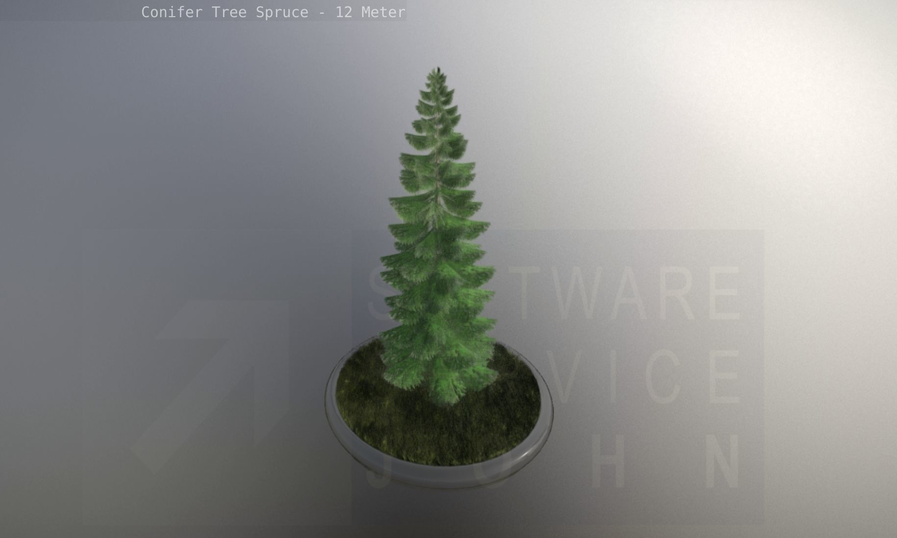 Conifer Tree Spruce - 12 Meter Low-poly 3D model_82