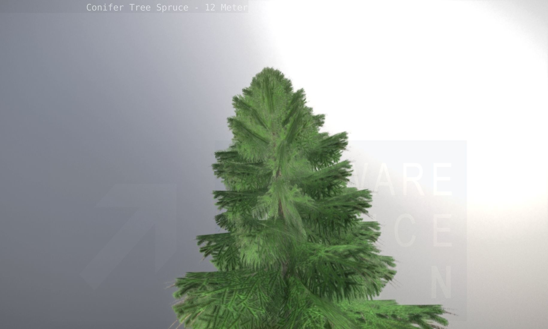 Conifer Tree Spruce - 12 Meter Low-poly 3D model_16