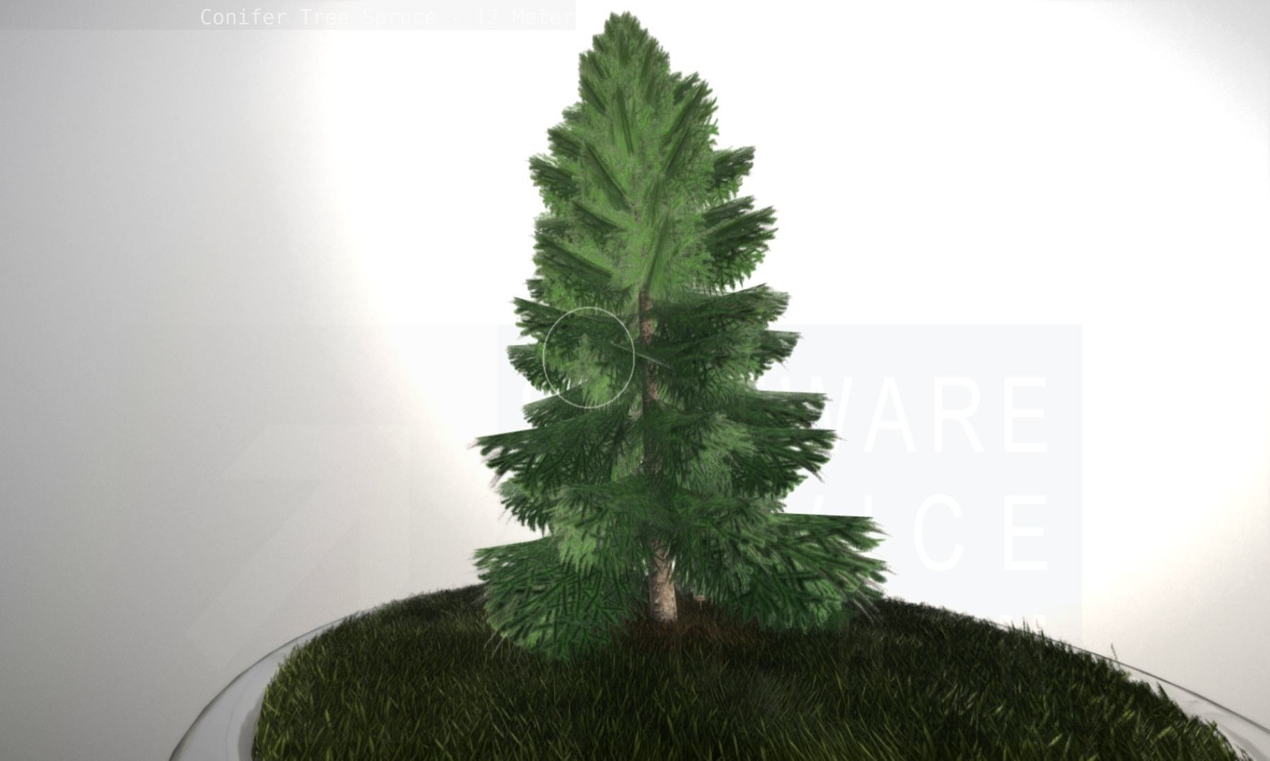 Conifer Tree Spruce - 12 Meter Low-poly 3D model_100