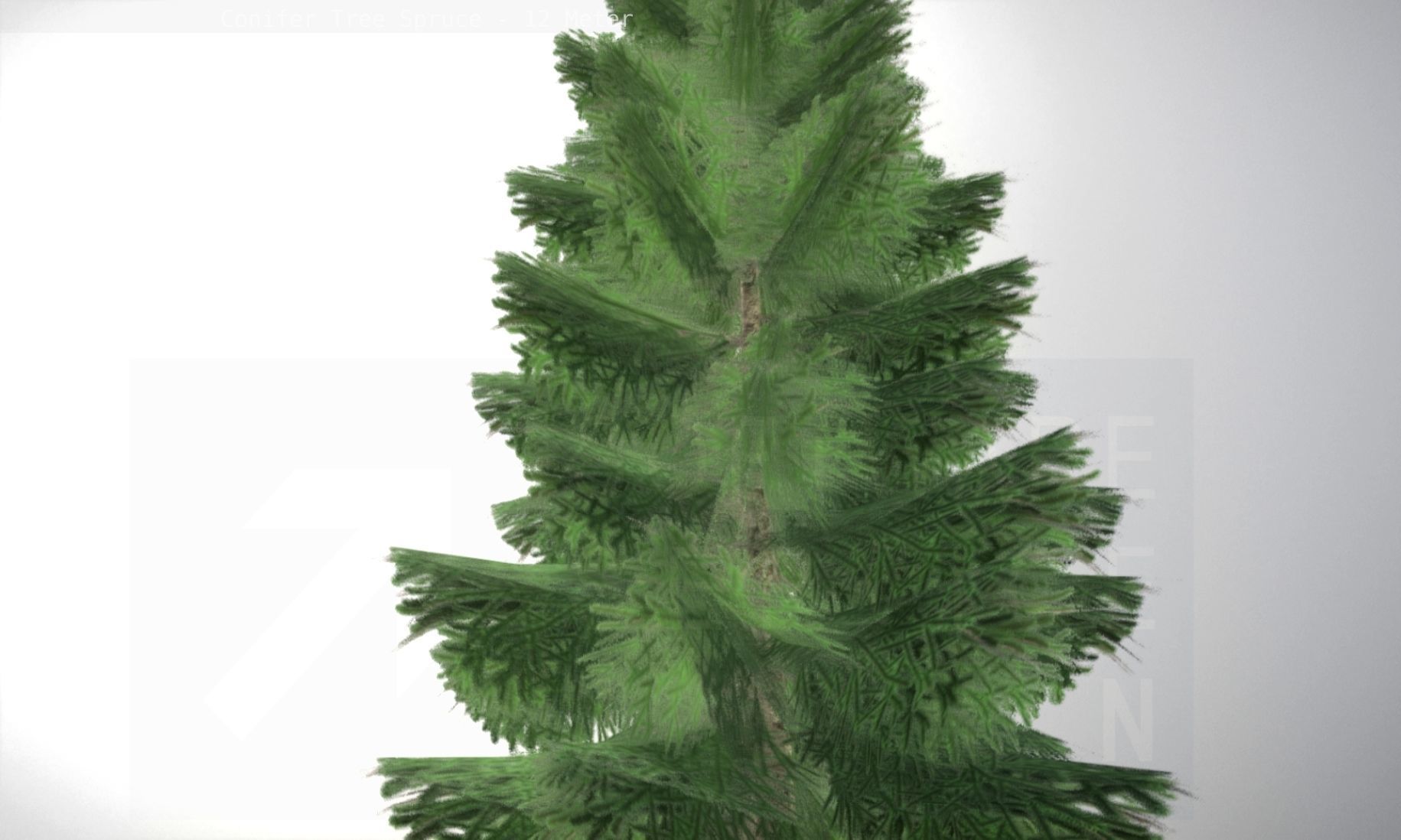 Conifer Tree Spruce - 12 Meter Low-poly 3D model_73