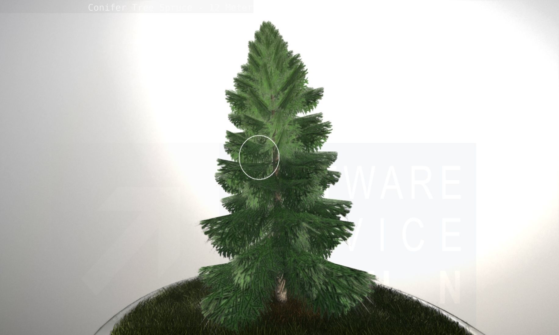 Conifer Tree Spruce - 12 Meter Low-poly 3D model_104