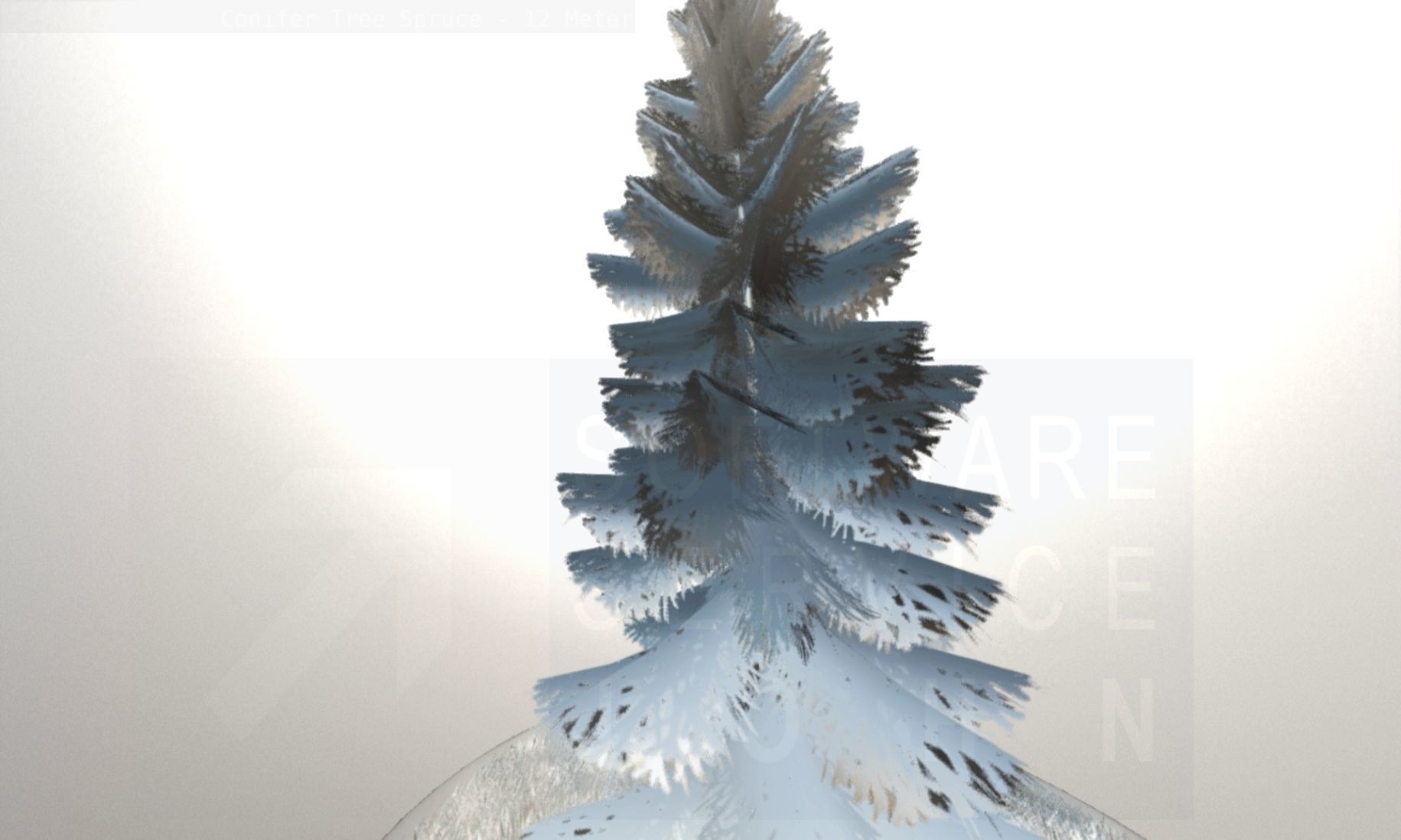 Conifer Tree Spruce - 12 Meter Low-poly 3D model_117