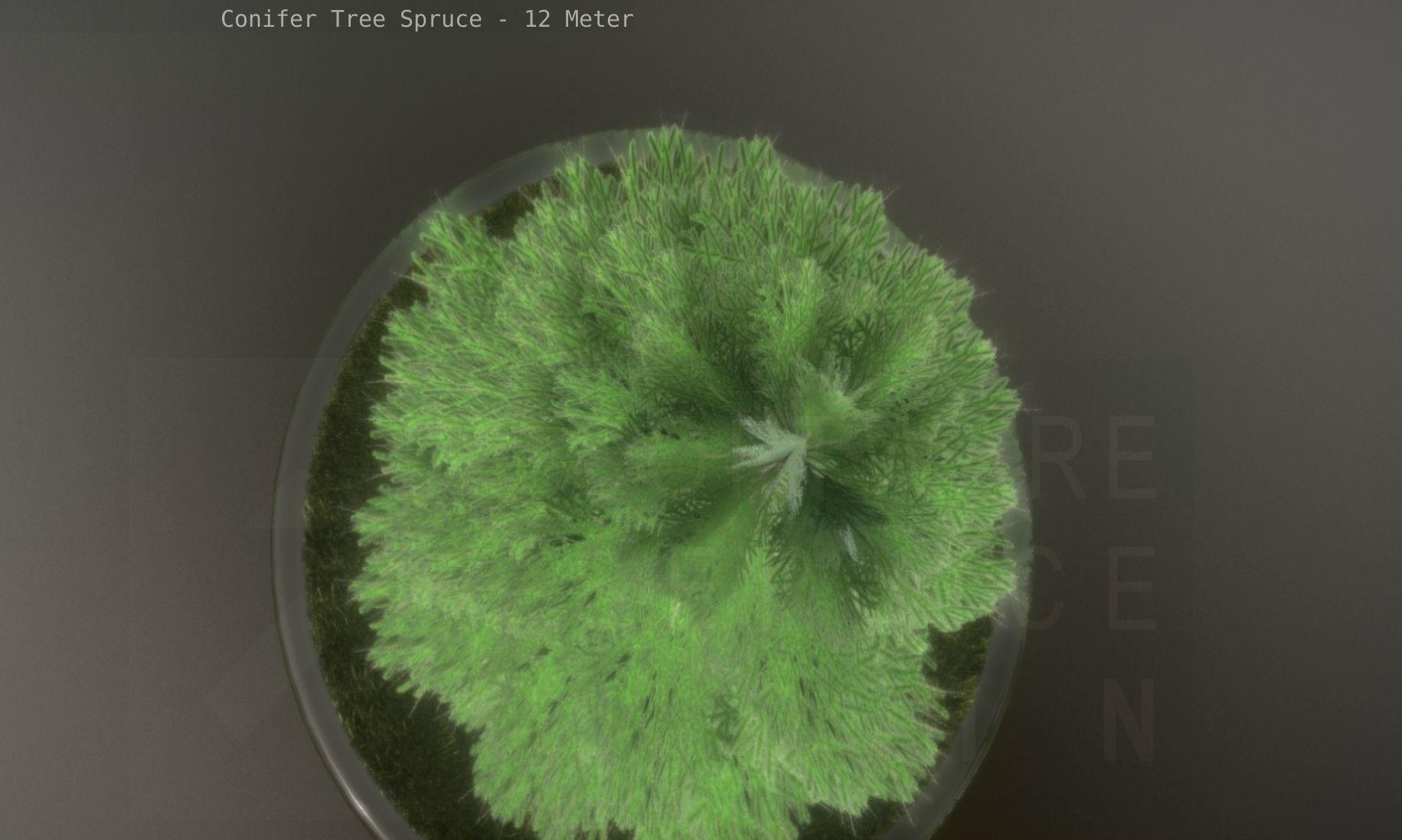 Conifer Tree Spruce - 12 Meter Low-poly 3D model_124