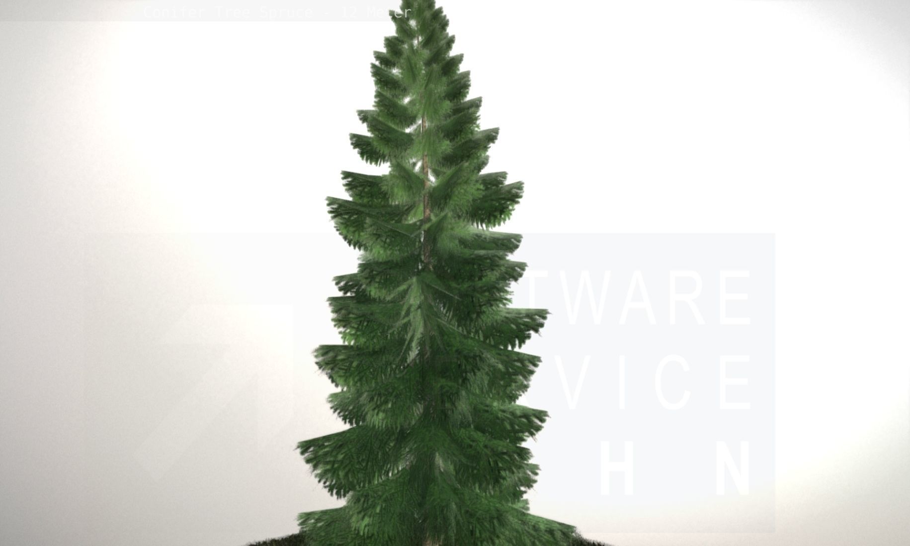 Conifer Tree Spruce - 12 Meter Low-poly 3D model_34