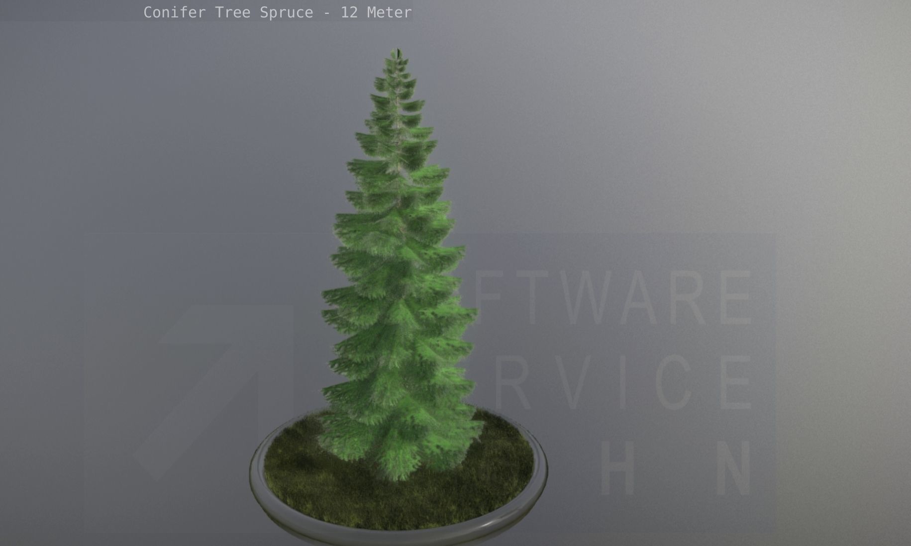 Conifer Tree Spruce - 12 Meter Low-poly 3D model_23