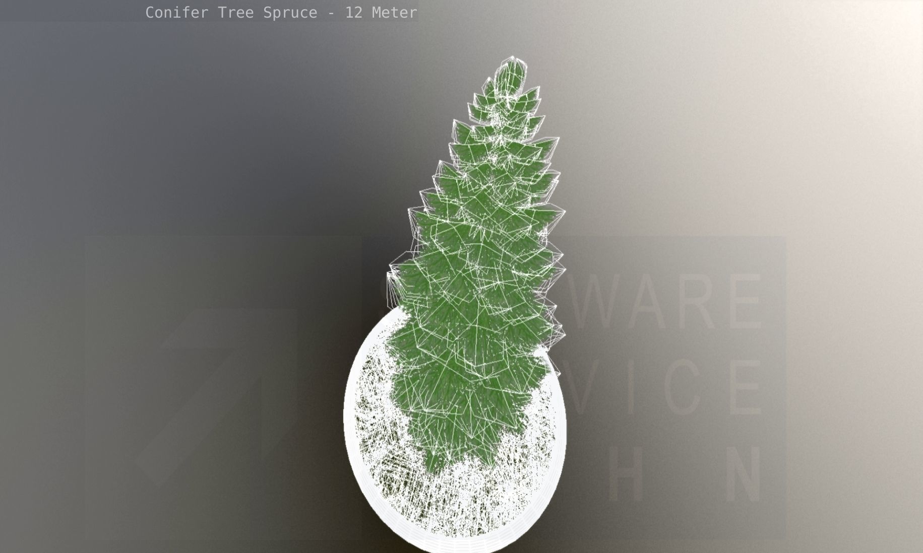 Conifer Tree Spruce - 12 Meter Low-poly 3D model_135