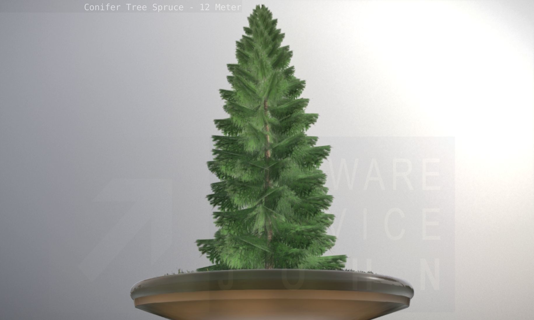Conifer Tree Spruce - 12 Meter Low-poly 3D model_48