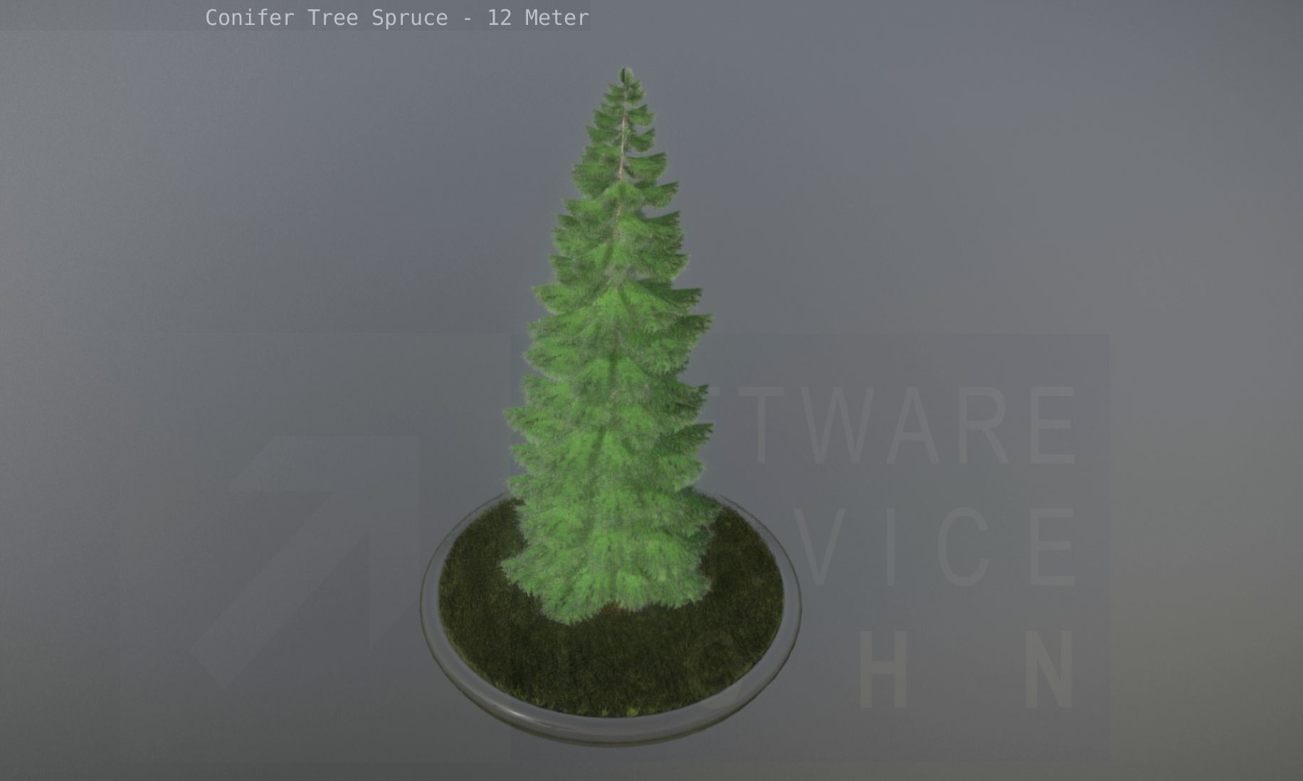 Conifer Tree Spruce - 12 Meter Low-poly 3D model_25