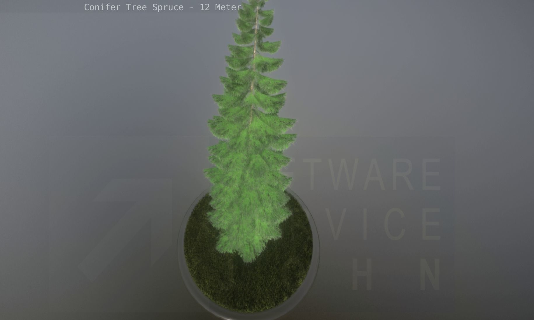Conifer Tree Spruce - 12 Meter Low-poly 3D model_88