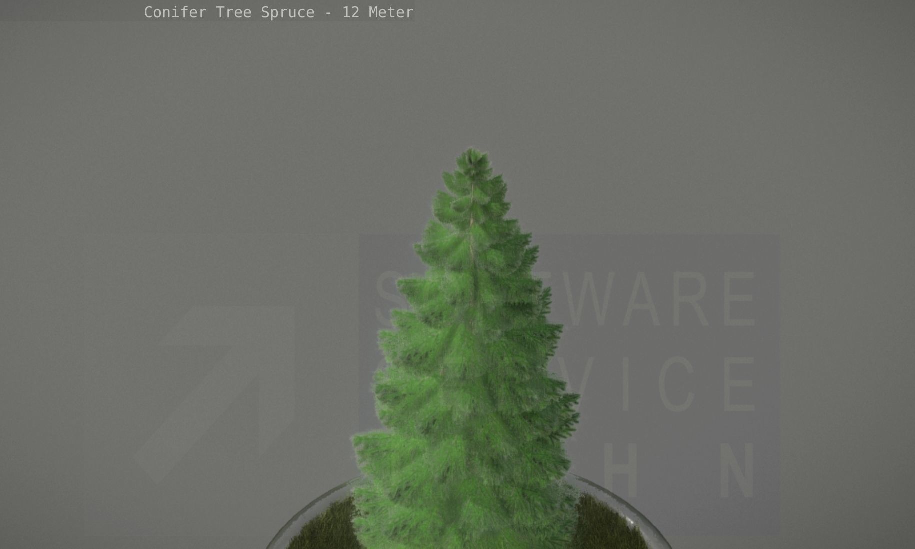 Conifer Tree Spruce - 12 Meter Low-poly 3D model_70