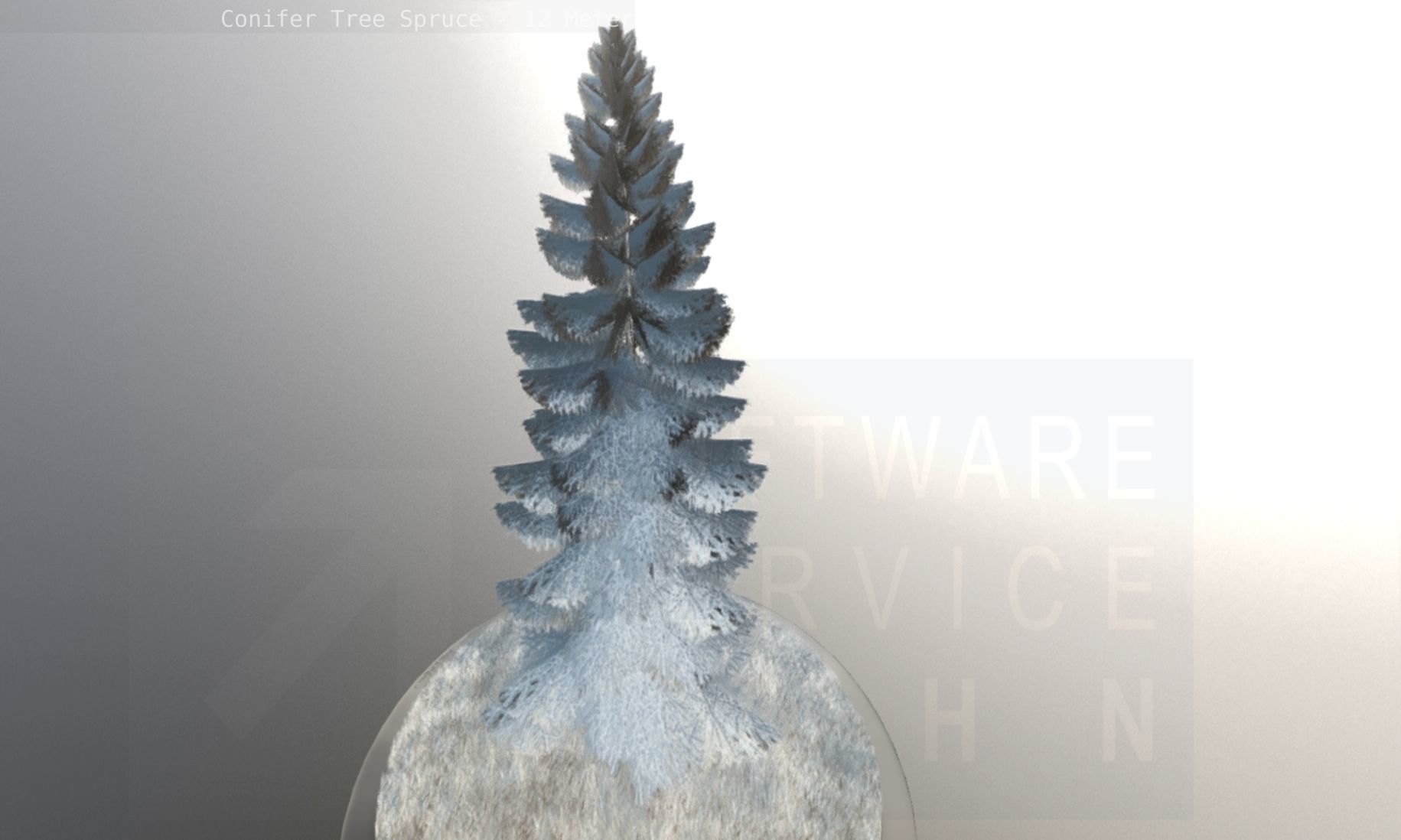 Conifer Tree Spruce - 12 Meter Low-poly 3D model_121