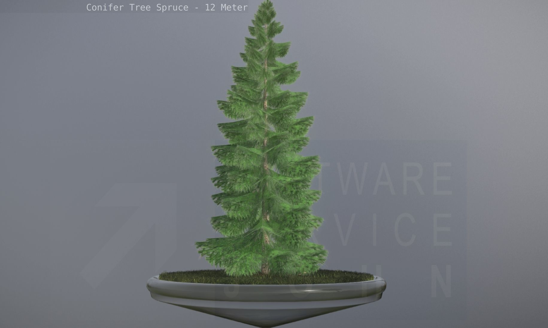 Conifer Tree Spruce - 12 Meter Low-poly 3D model_63