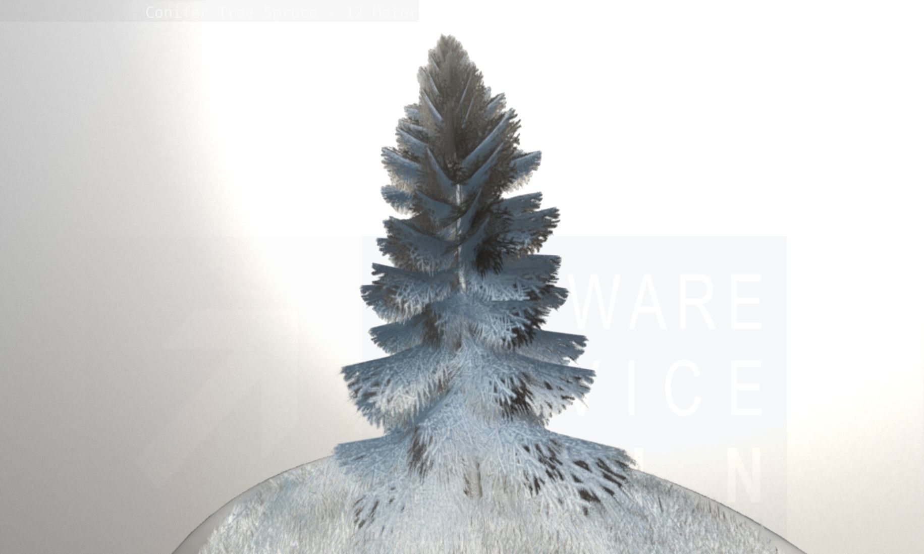 Conifer Tree Spruce - 12 Meter Low-poly 3D model_120