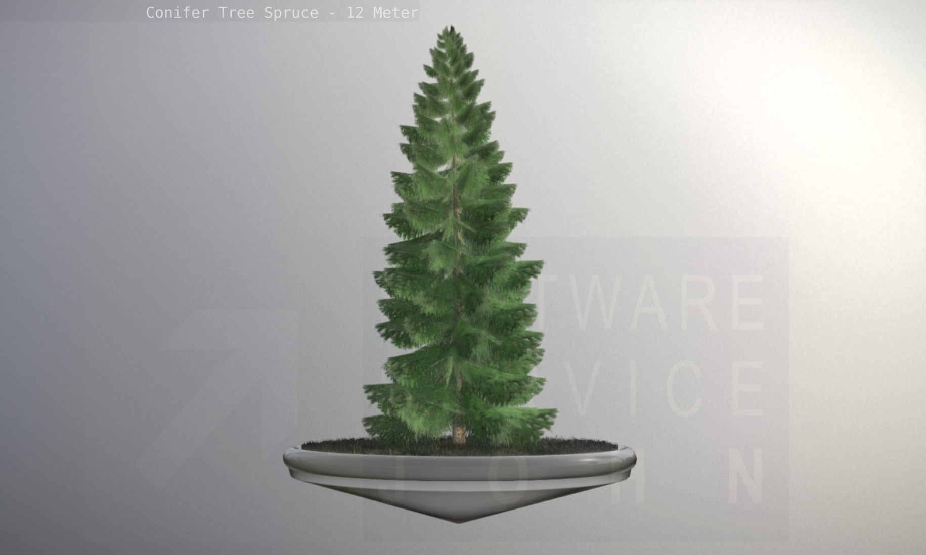 Conifer Tree Spruce - 12 Meter Low-poly 3D model_52