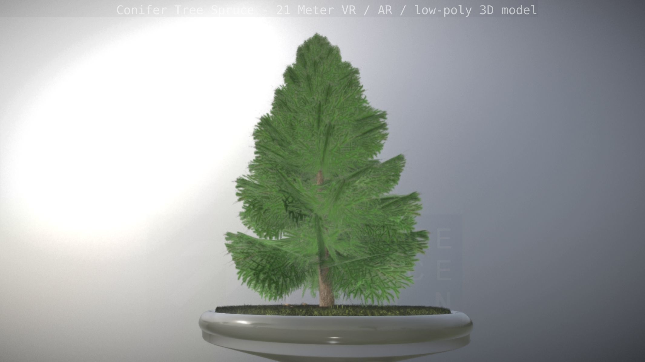 Conifer Tree Spruce - 21 Meter Low-poly 3D model_3