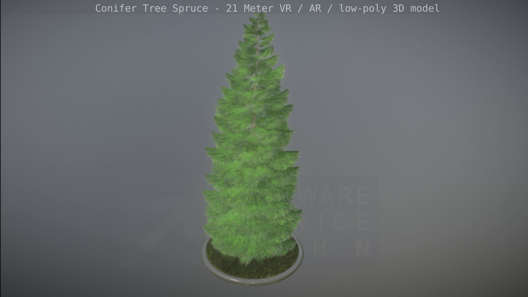 Conifer Tree Spruce - 21 Meter Low-poly 3D model_39