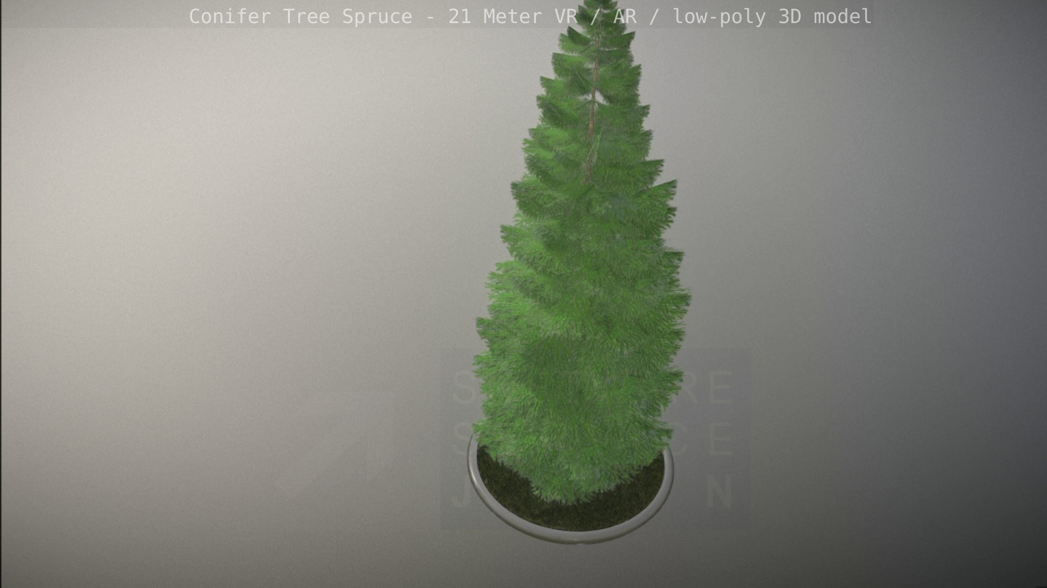 Conifer Tree Spruce - 21 Meter Low-poly 3D model_74