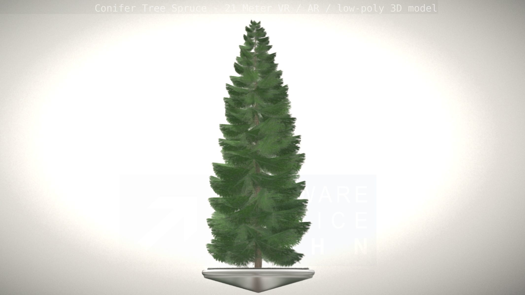 Conifer Tree Spruce - 21 Meter Low-poly 3D model_85