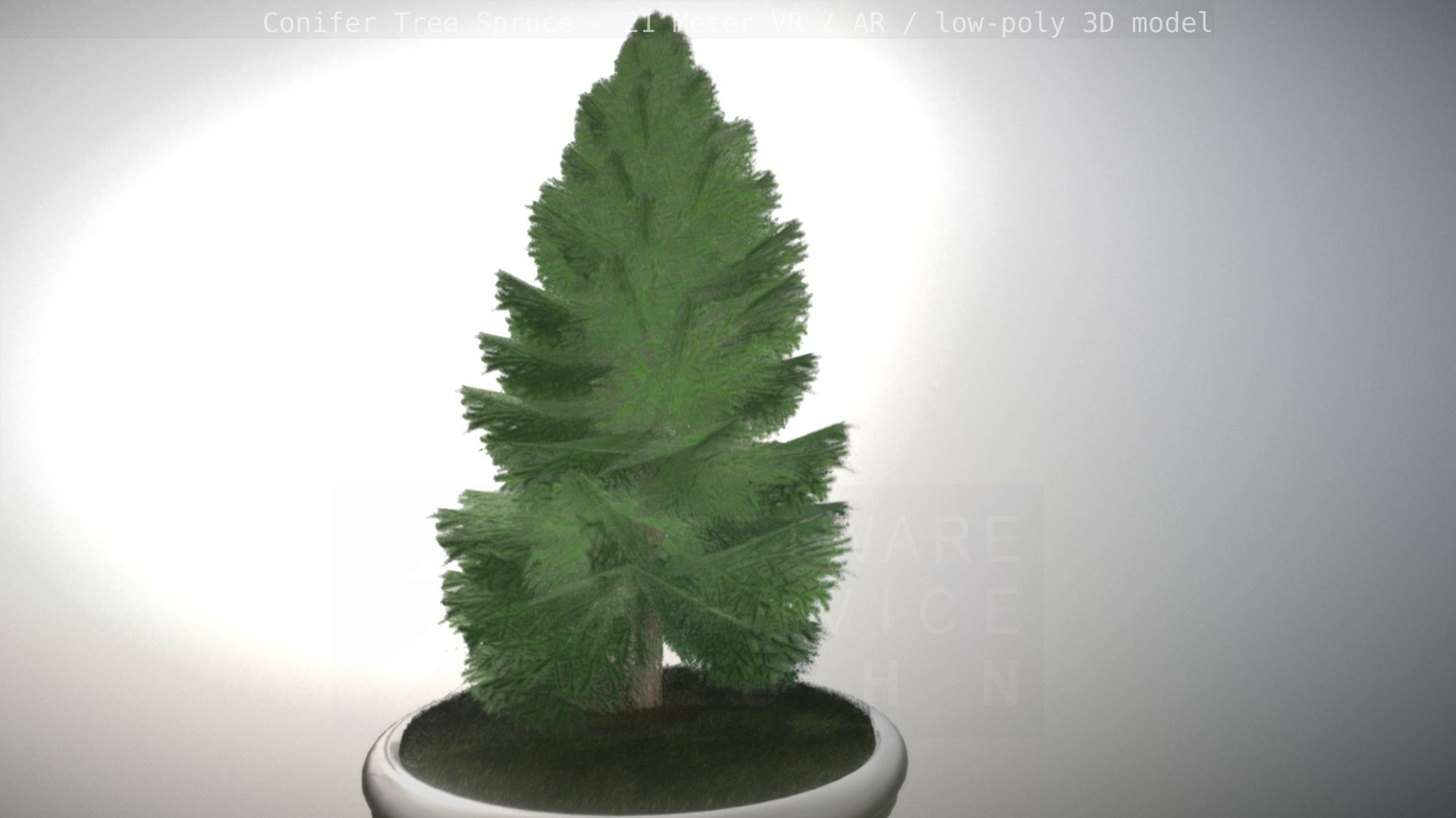 Conifer Tree Spruce - 21 Meter Low-poly 3D model_94