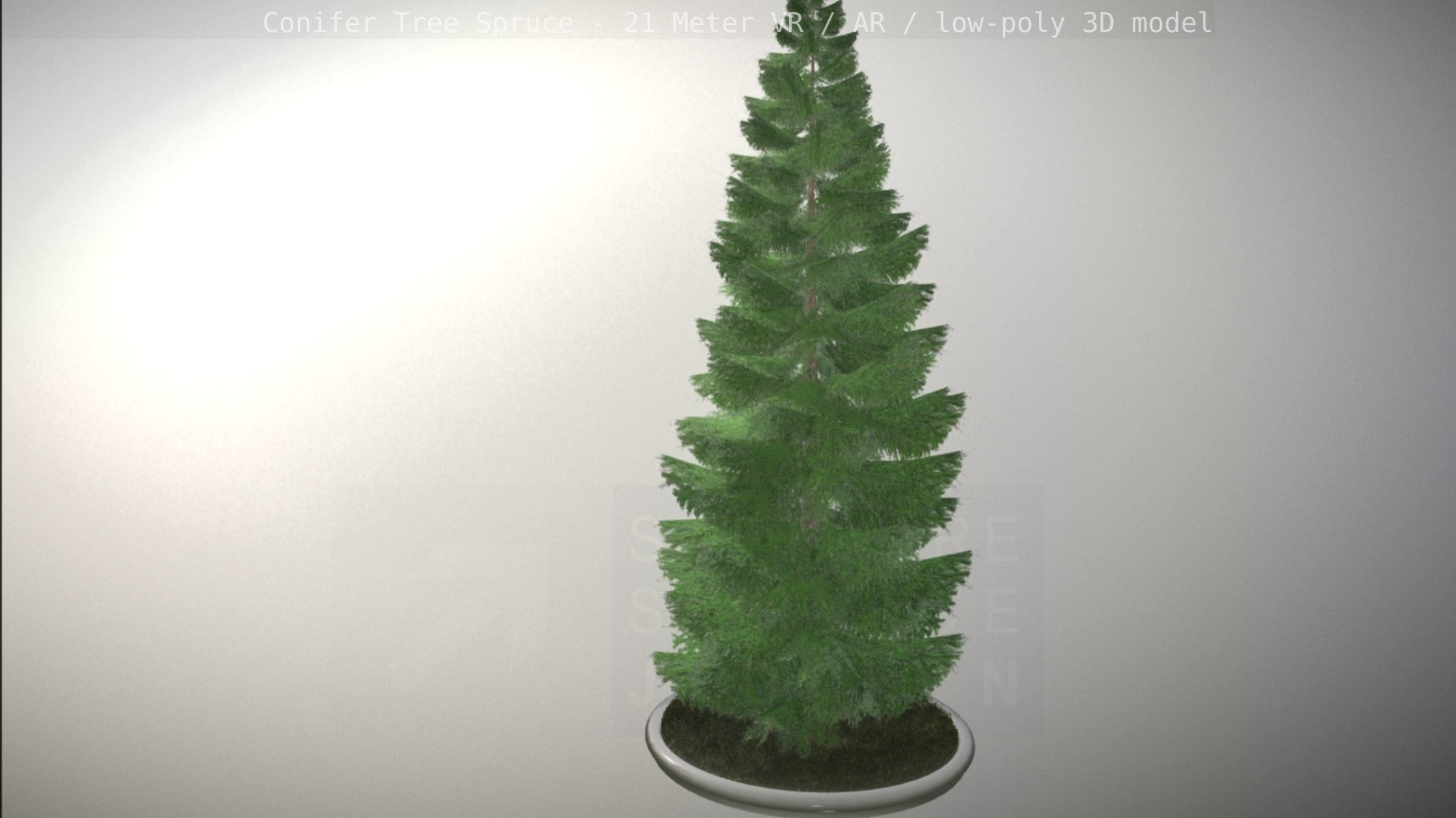 Conifer Tree Spruce - 21 Meter Low-poly 3D model_71
