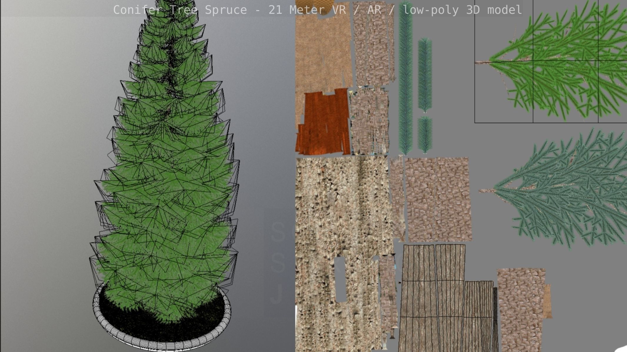 Conifer Tree Spruce - 21 Meter Low-poly 3D model_9