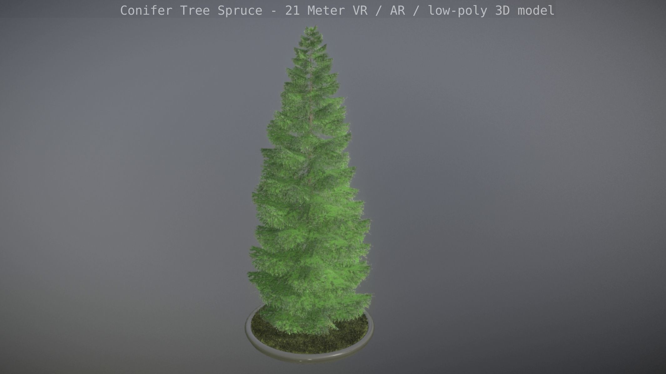 Conifer Tree Spruce - 21 Meter Low-poly 3D model_15