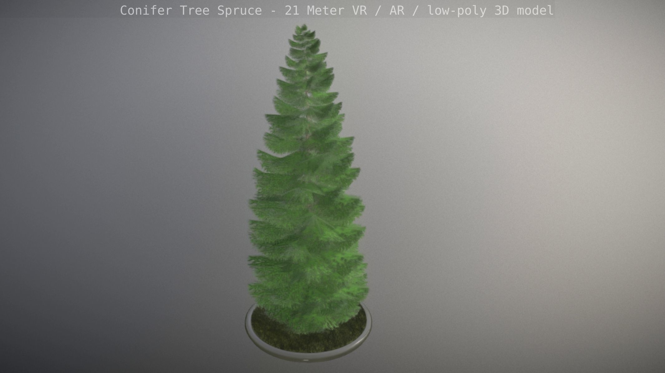 Conifer Tree Spruce - 21 Meter Low-poly 3D model_13