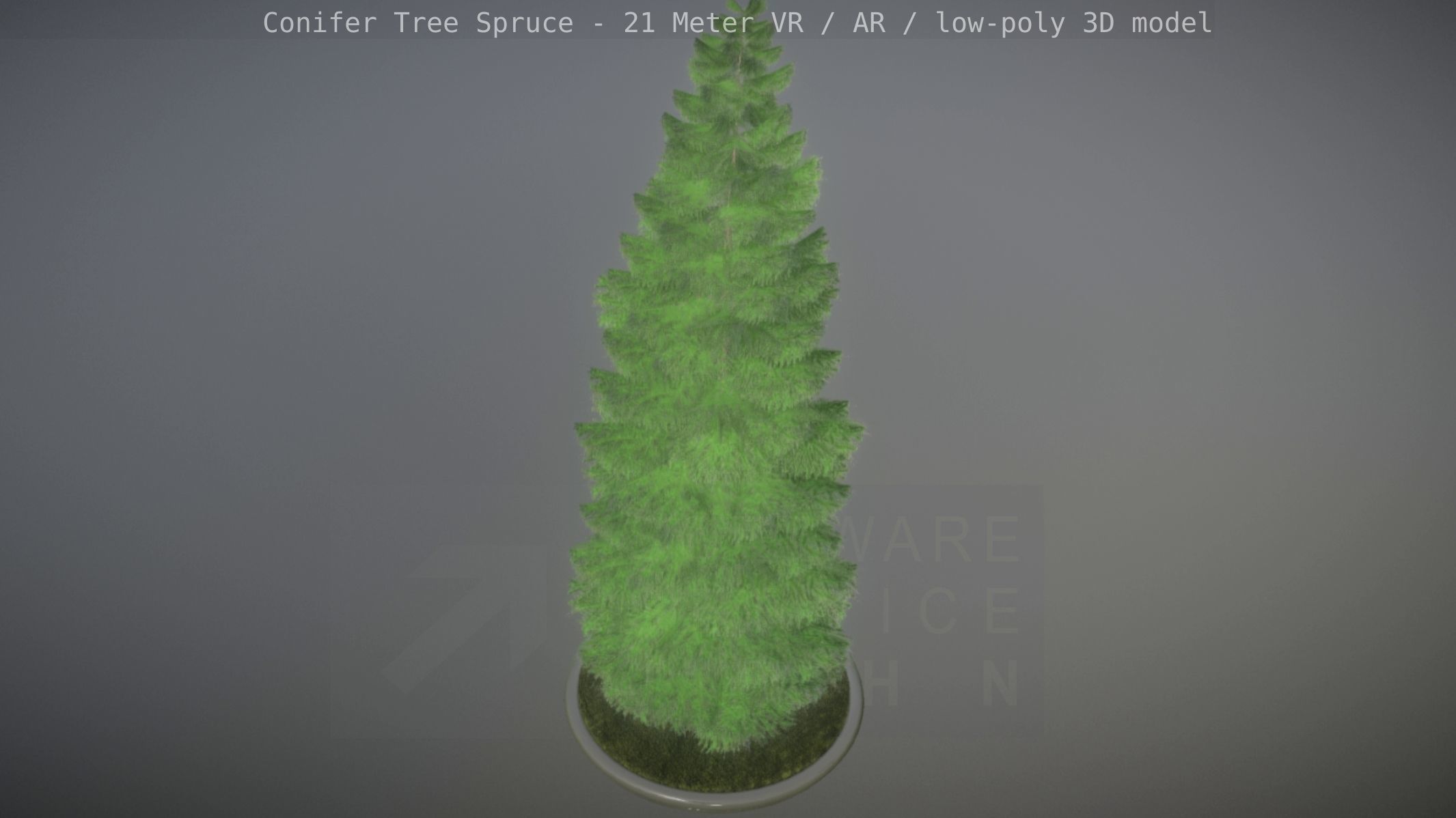Conifer Tree Spruce - 21 Meter Low-poly 3D model_36