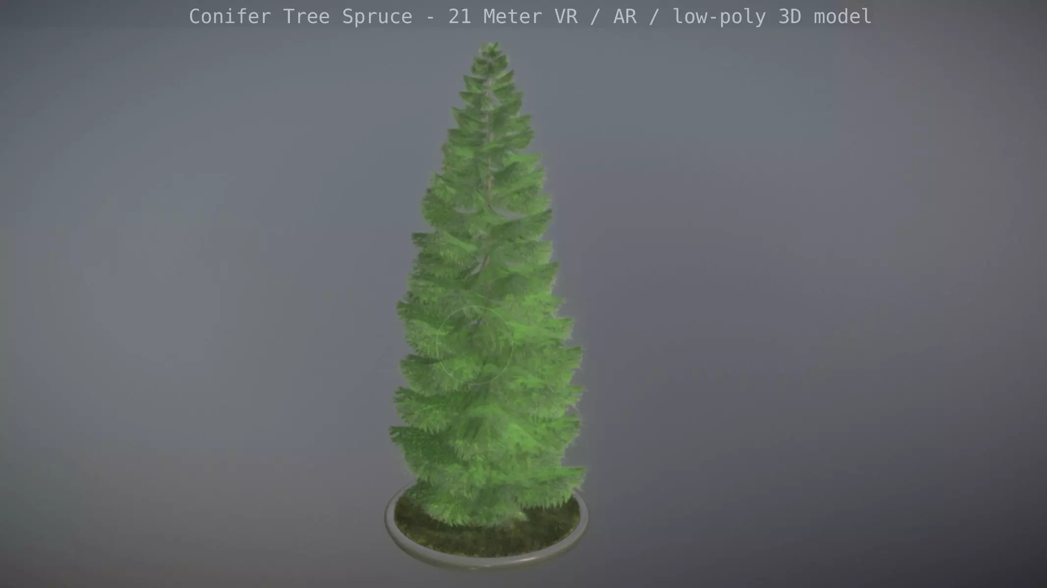 Conifer Tree Spruce - 21 Meter Low-poly 3D model_0