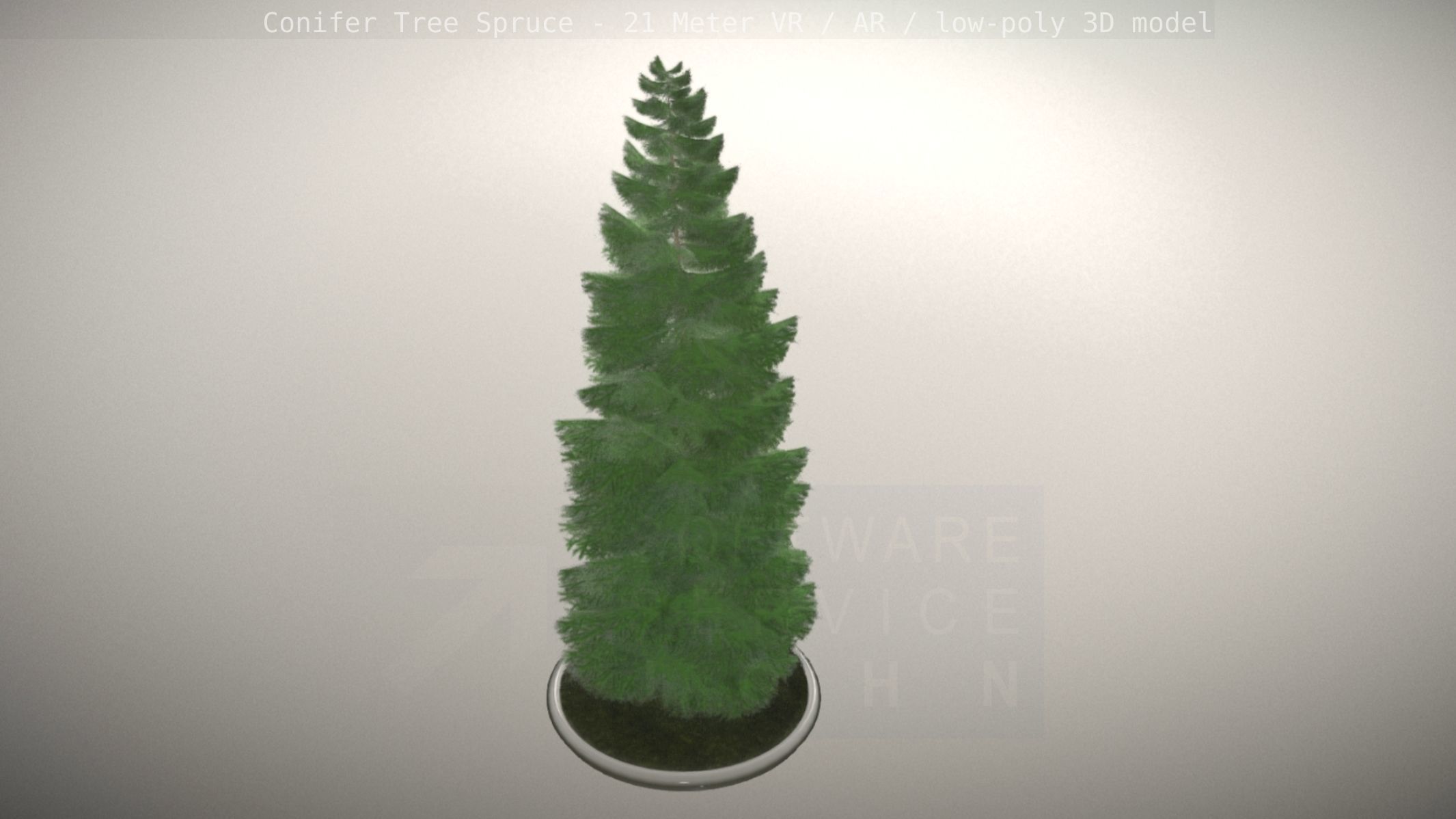 Conifer Tree Spruce - 21 Meter Low-poly 3D model_16