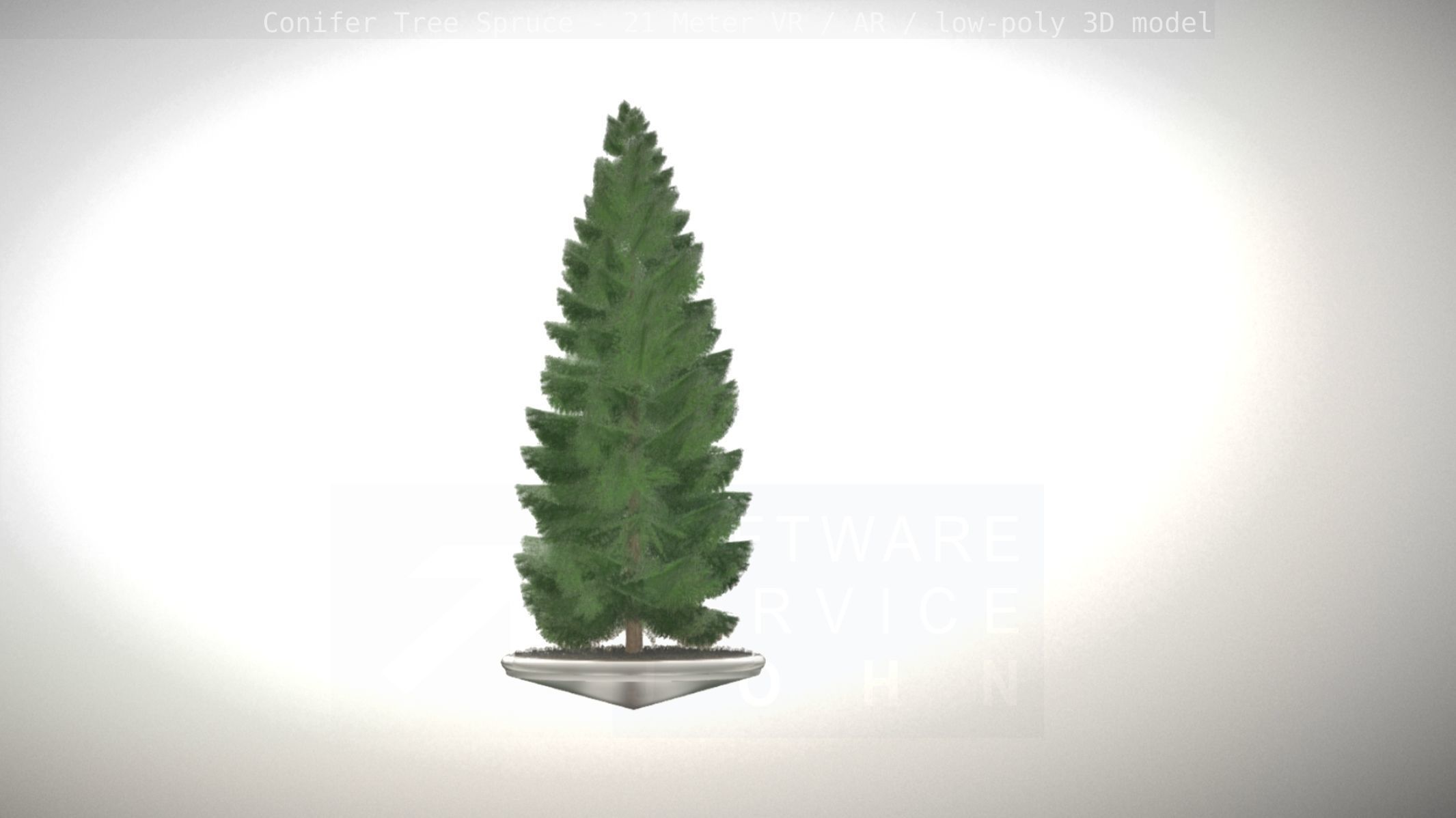 Conifer Tree Spruce - 21 Meter Low-poly 3D model_5