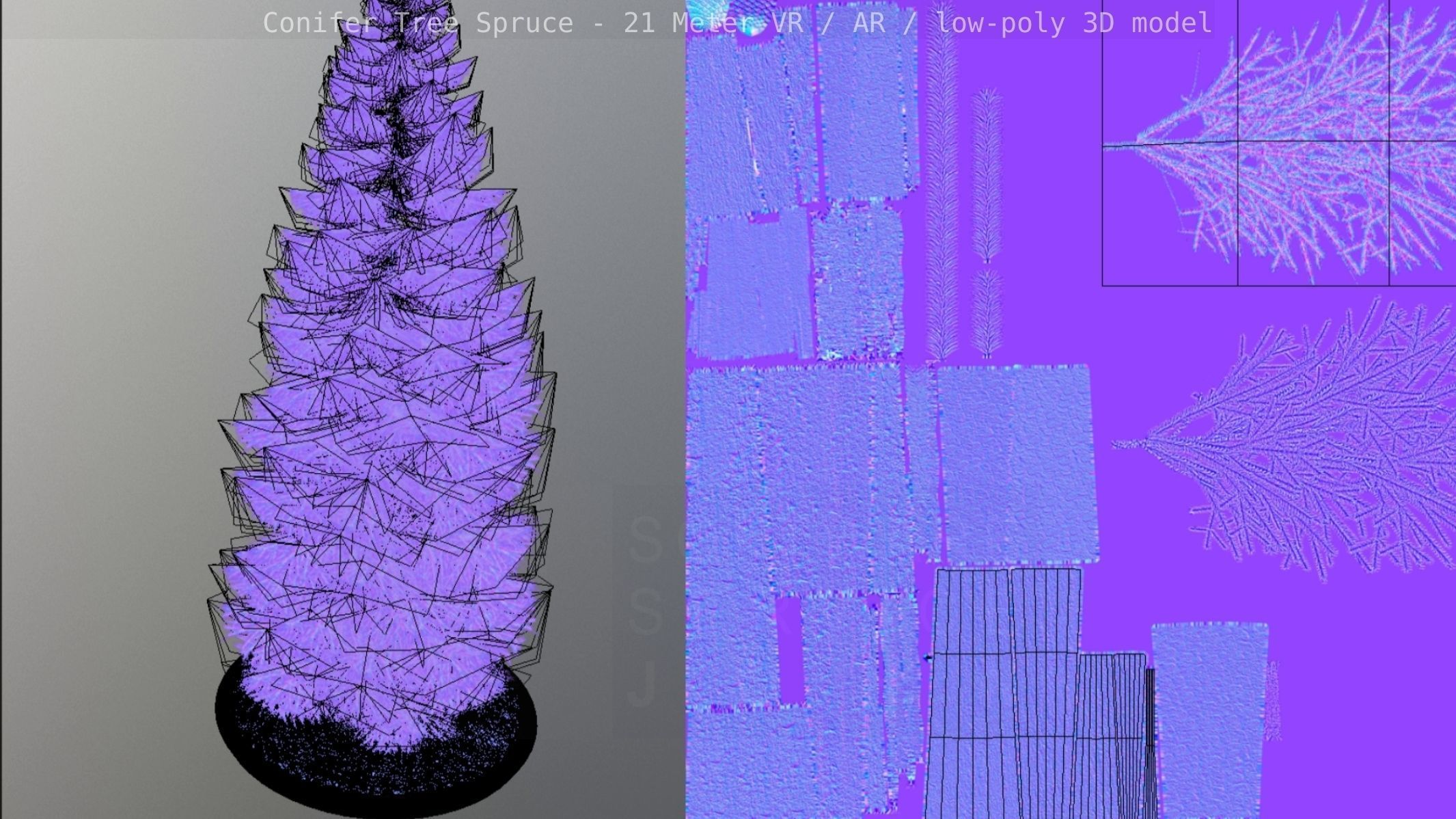 Conifer Tree Spruce - 21 Meter Low-poly 3D model_8