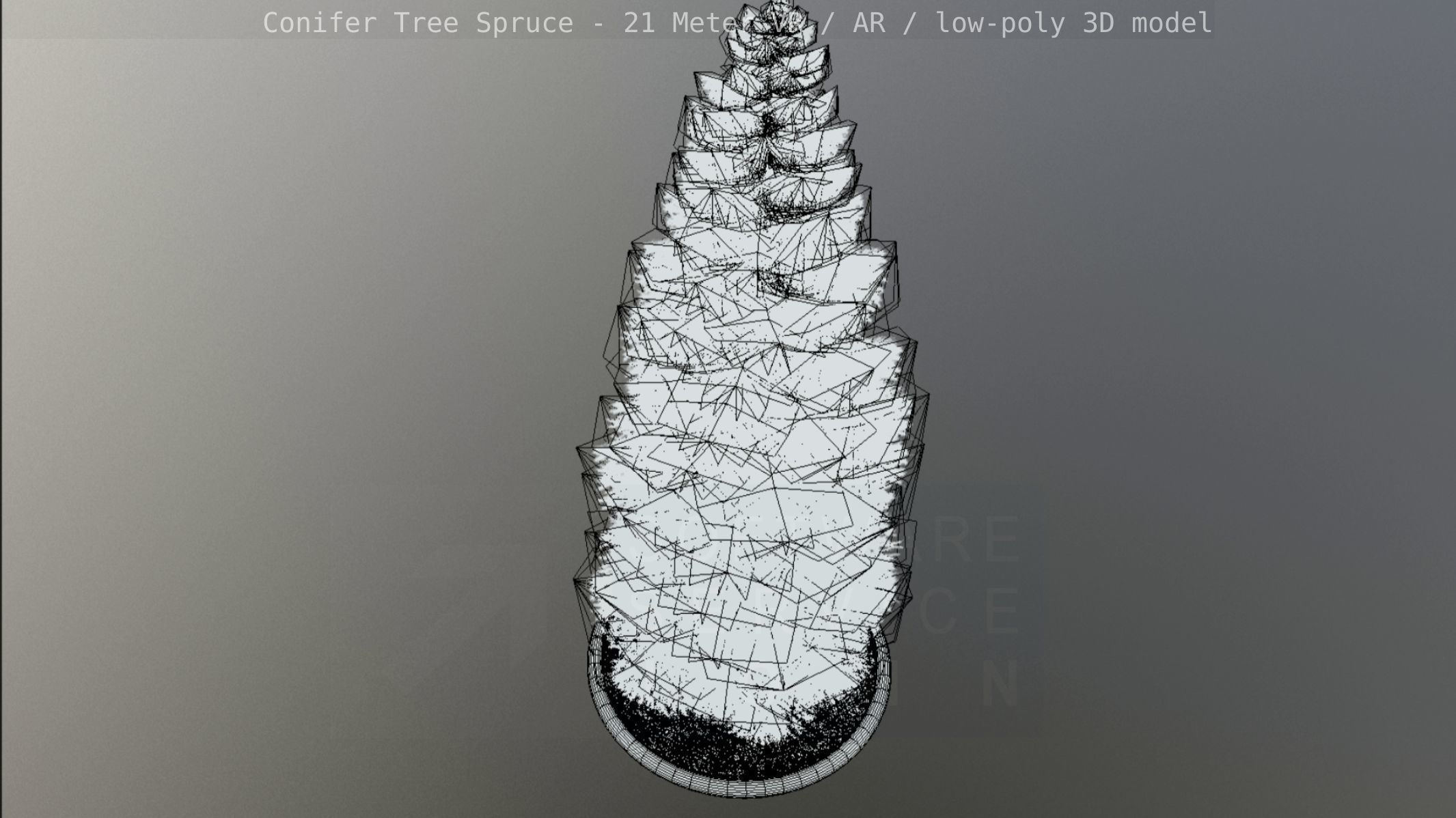 Conifer Tree Spruce - 21 Meter Low-poly 3D model_52
