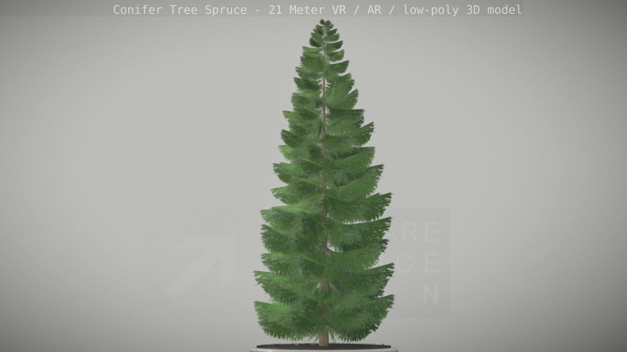 Conifer Tree Spruce - 21 Meter Low-poly 3D model_81