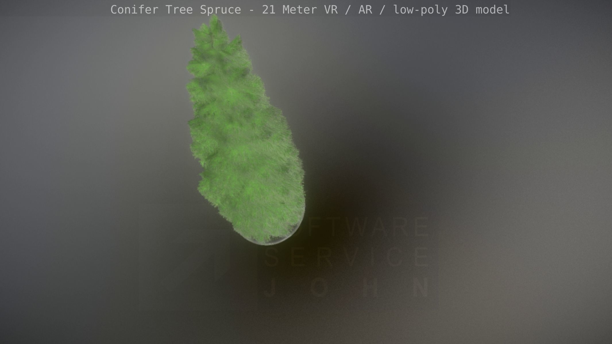 Conifer Tree Spruce - 21 Meter Low-poly 3D model_100