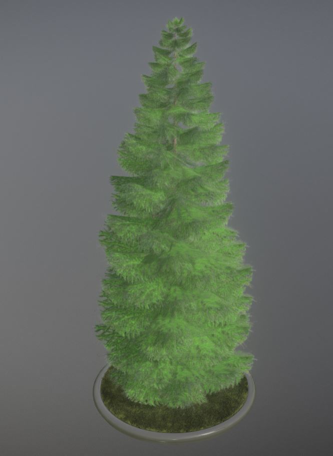 Conifer Tree Spruce - 21 Meter Low-poly 3D model_72