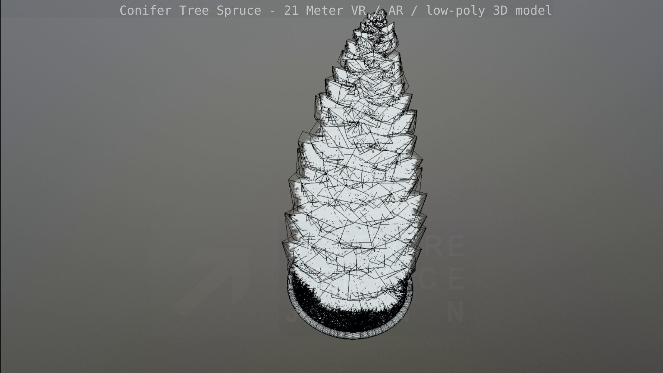 Conifer Tree Spruce - 21 Meter Low-poly 3D model_44