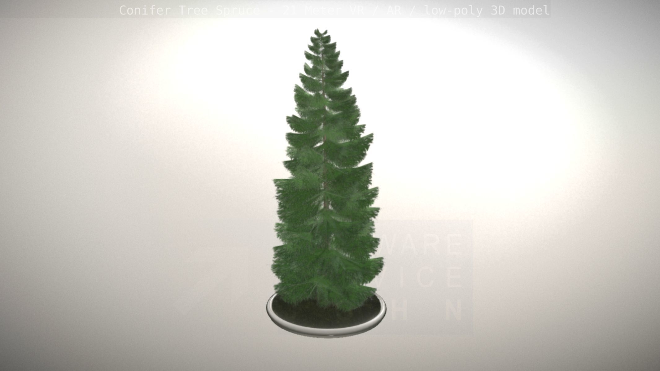 Conifer Tree Spruce - 21 Meter Low-poly 3D model_24