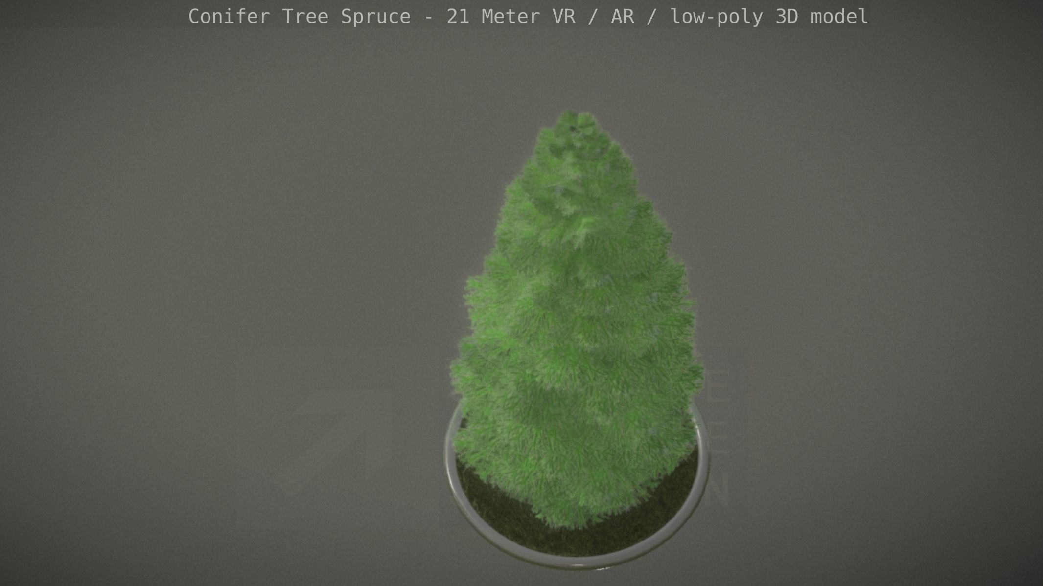 Conifer Tree Spruce - 21 Meter Low-poly 3D model_77