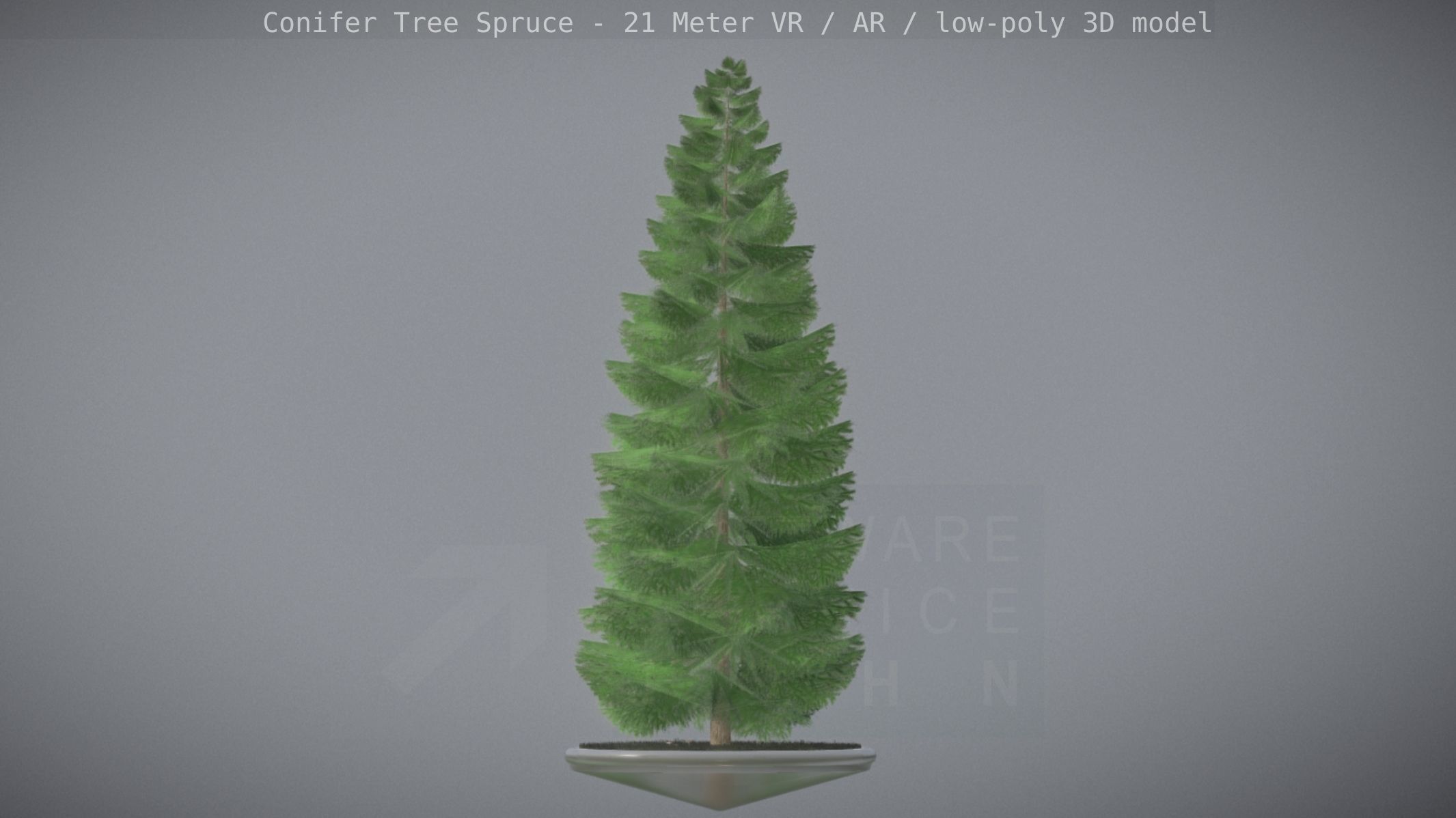 Conifer Tree Spruce - 21 Meter Low-poly 3D model_89