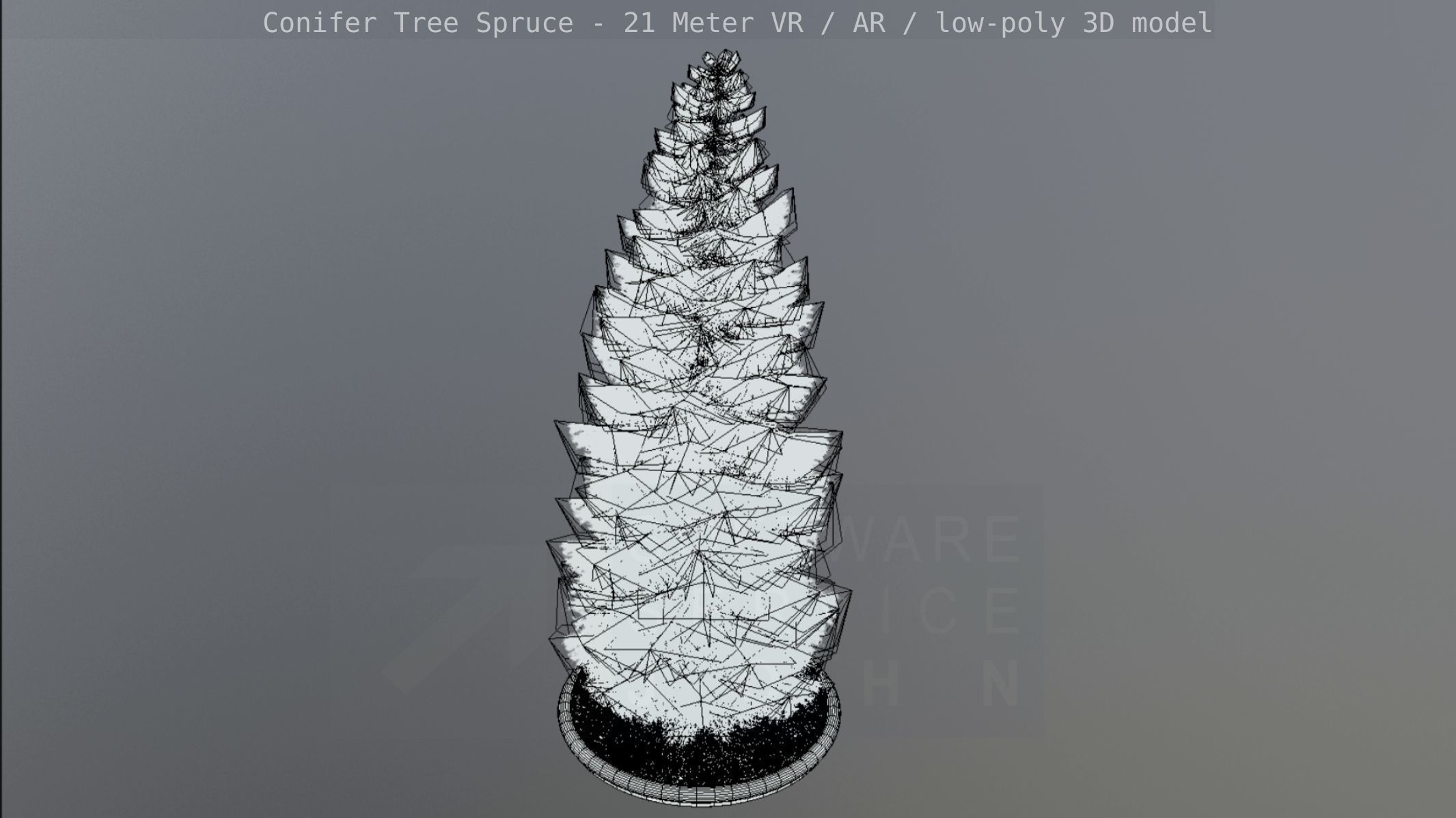 Conifer Tree Spruce - 21 Meter Low-poly 3D model_1