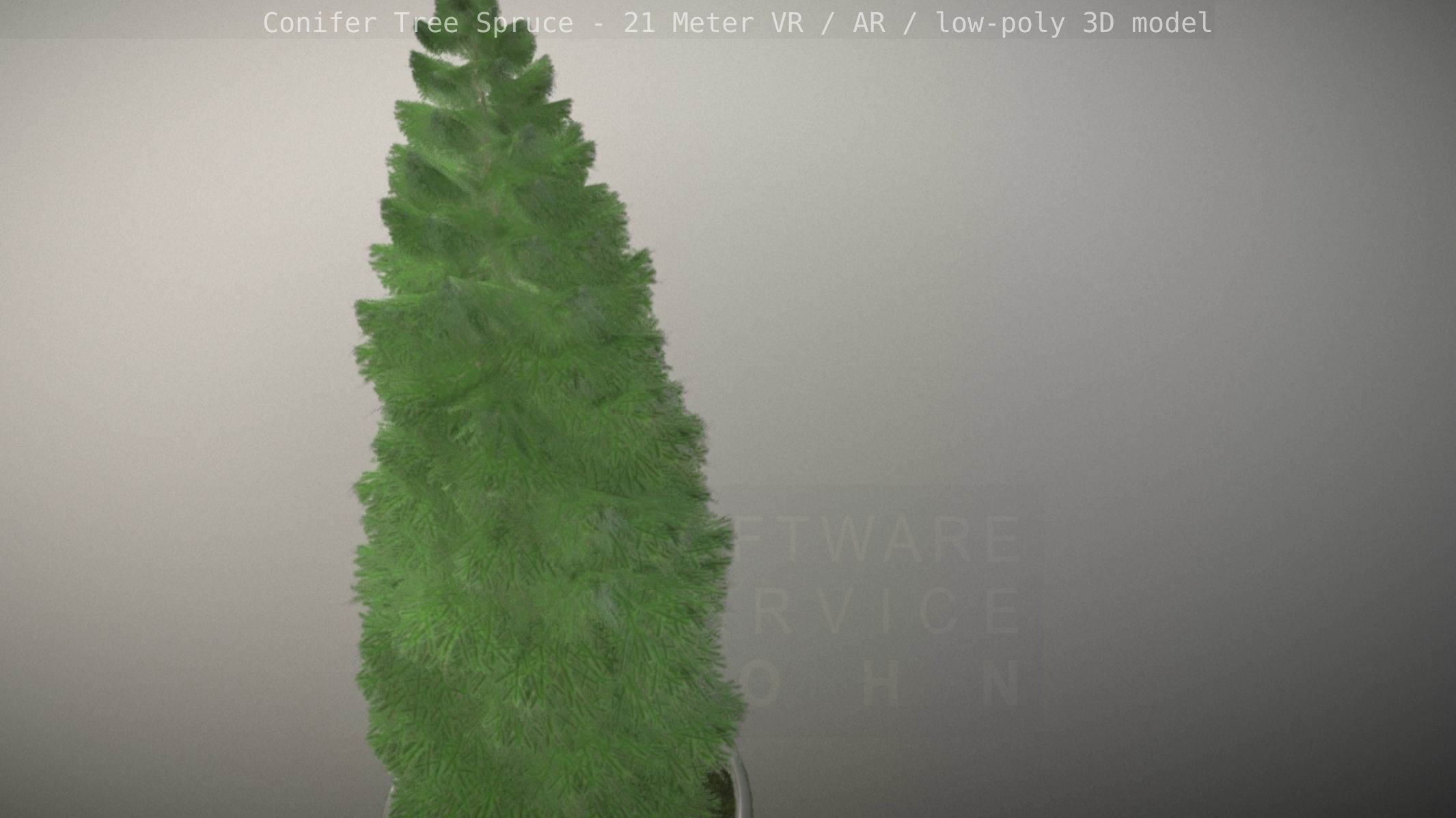 Conifer Tree Spruce - 21 Meter Version 2 Low-poly 3D model_21