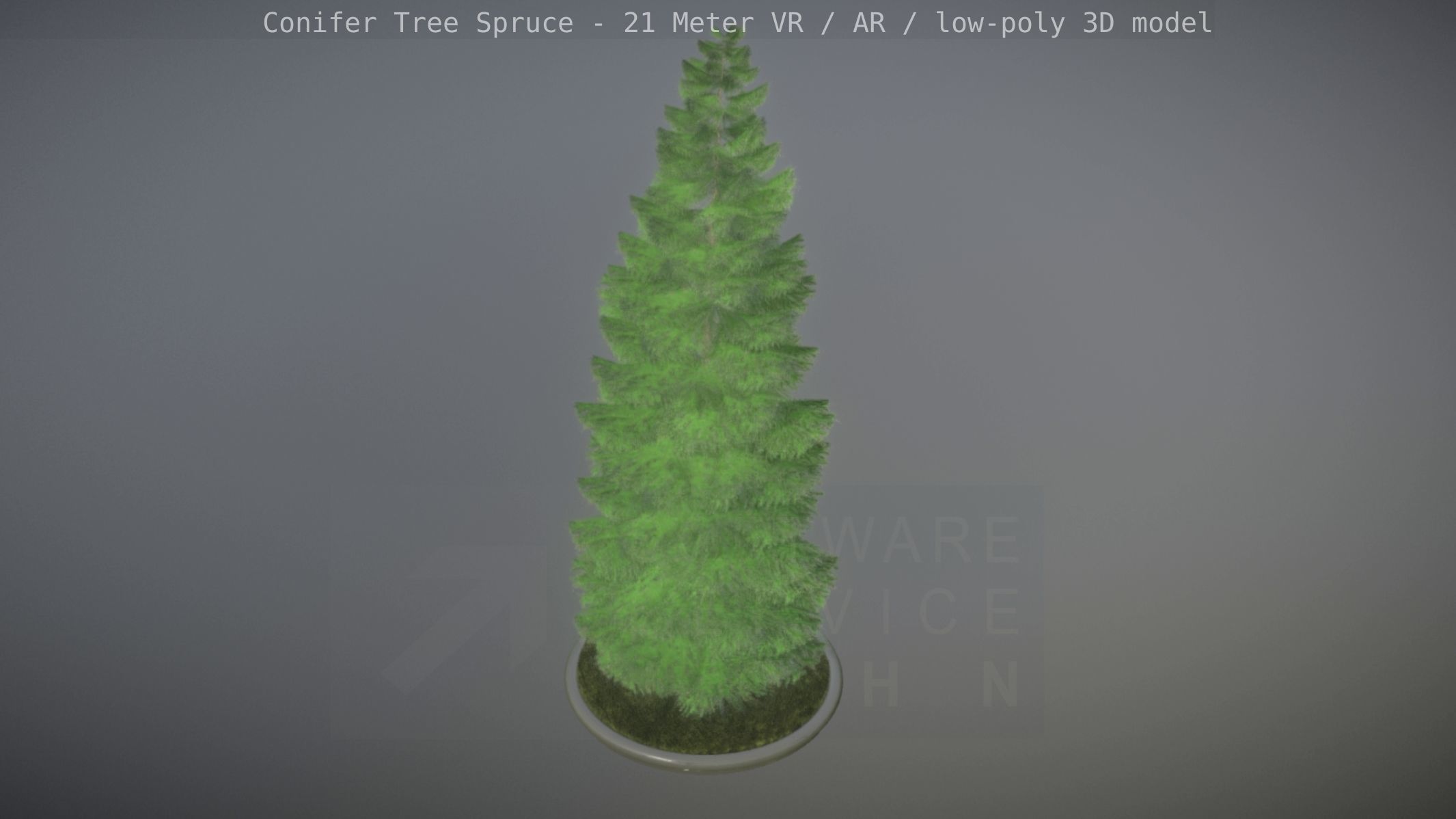 Conifer Tree Spruce - 21 Meter Version 2 Low-poly 3D model_36