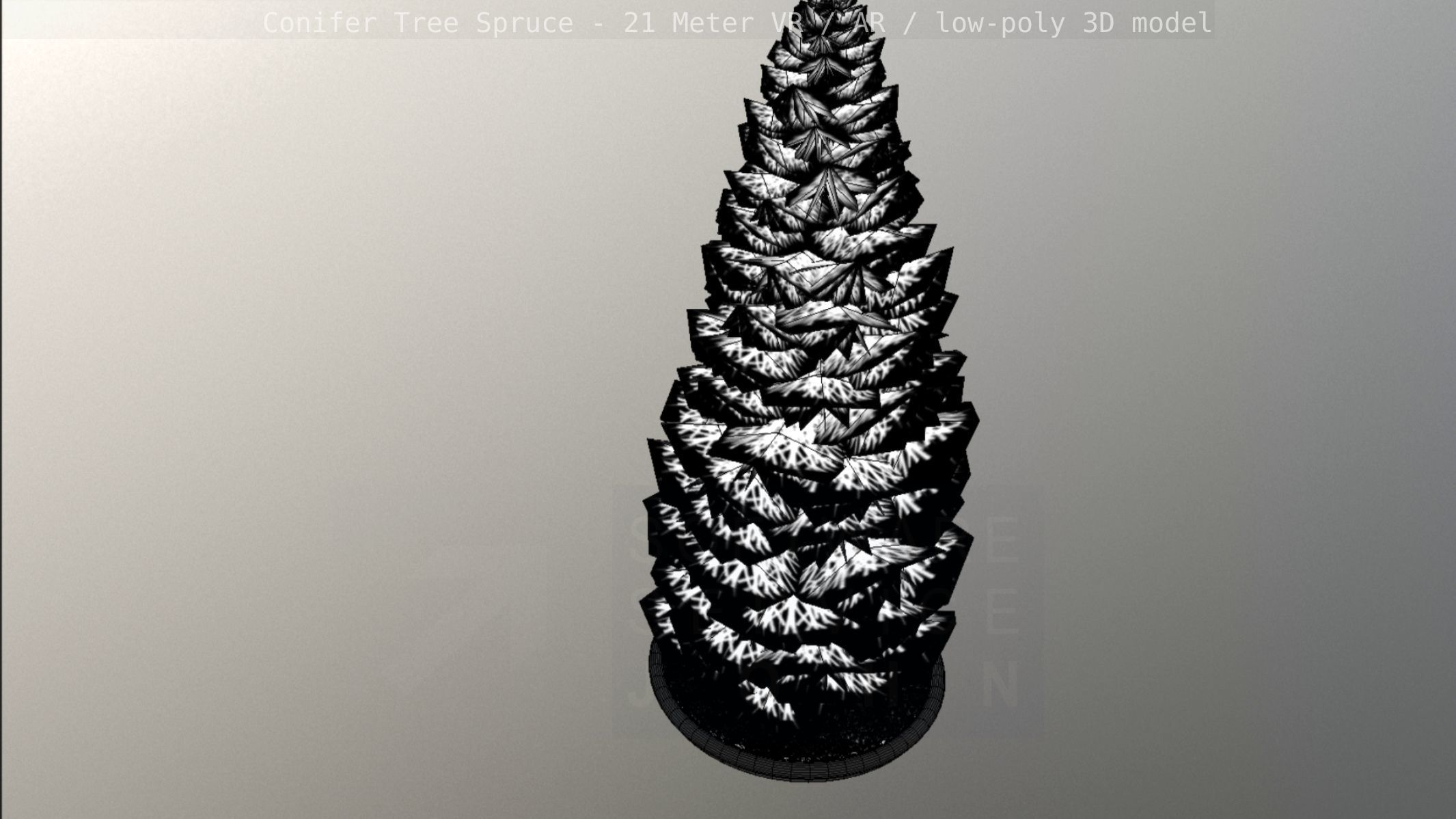 Conifer Tree Spruce - 21 Meter Version 2 Low-poly 3D model_63