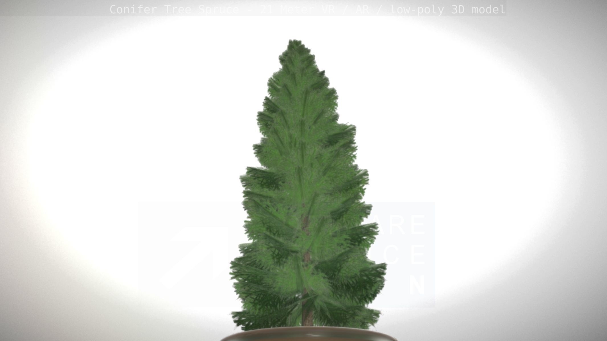 Conifer Tree Spruce - 21 Meter Version 2 Low-poly 3D model_20